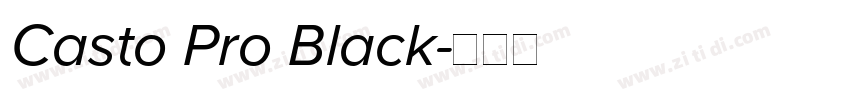 Casto Pro Black字体转换